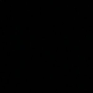 Meet your Posher, Griffin